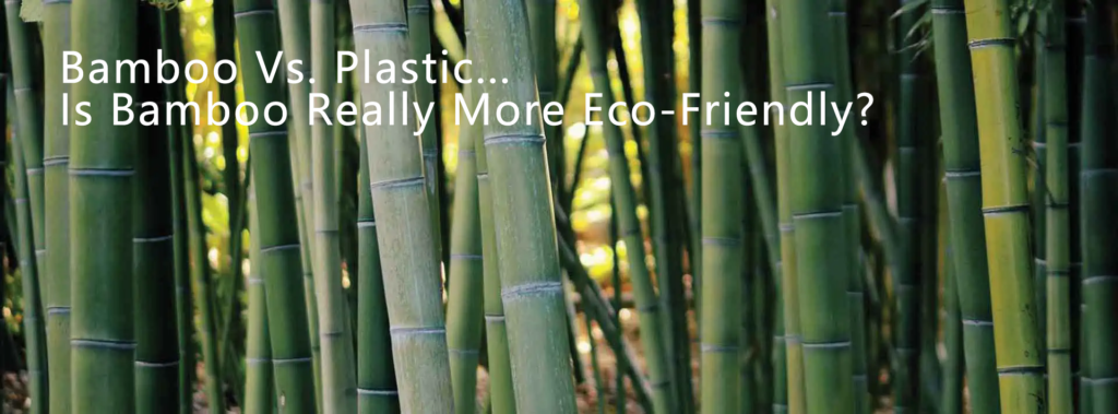 Plastic Vs Bamboo